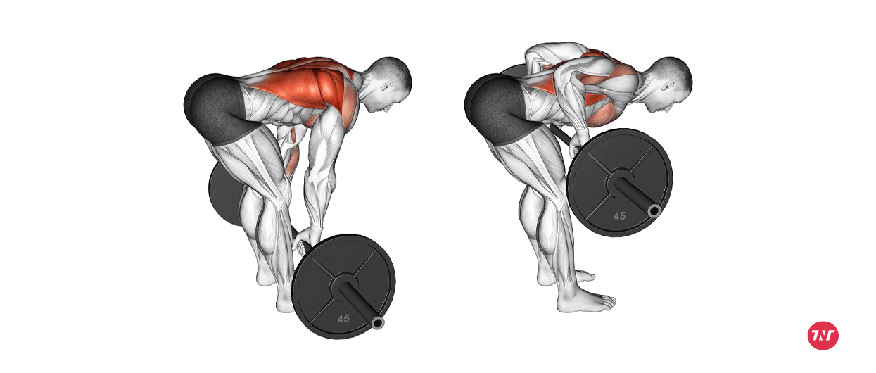 Barbell Bent-over Rows alternatives for t bar row