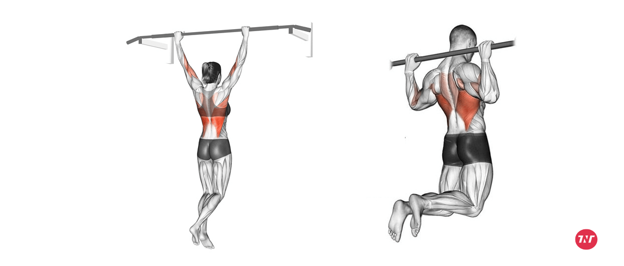 Behind-the-neck pull up alternatives for t bar row exercise