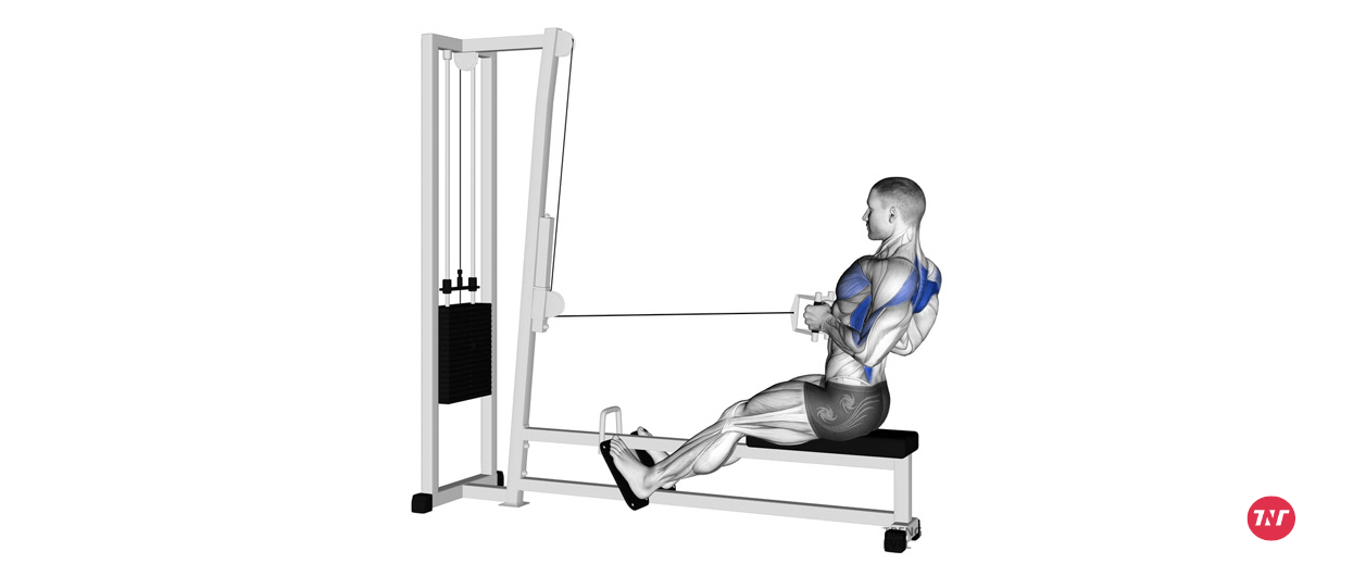 Seated cable row alternatives for t bar row